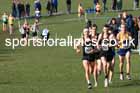 Senior Men, 2024 CAU Inter Counties Cross Country Champs., Wollaton Park, Nottingham. Photo: David T. Hewitson/Sports for All Pics